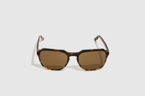 Moscot Haskel Tortoise Fade