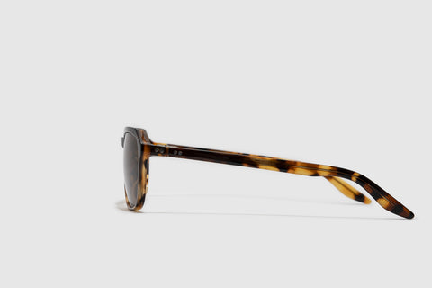 Moscot Haskel Tortoise Fade