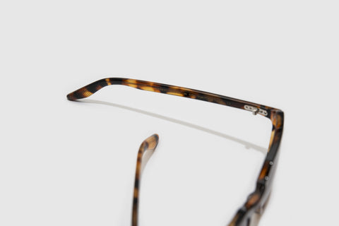 Moscot Haskel Tortoise Fade